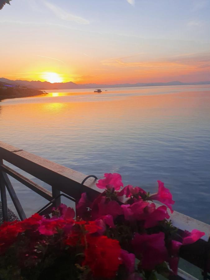 Hotel Piccolino Shkoder Bagian luar foto