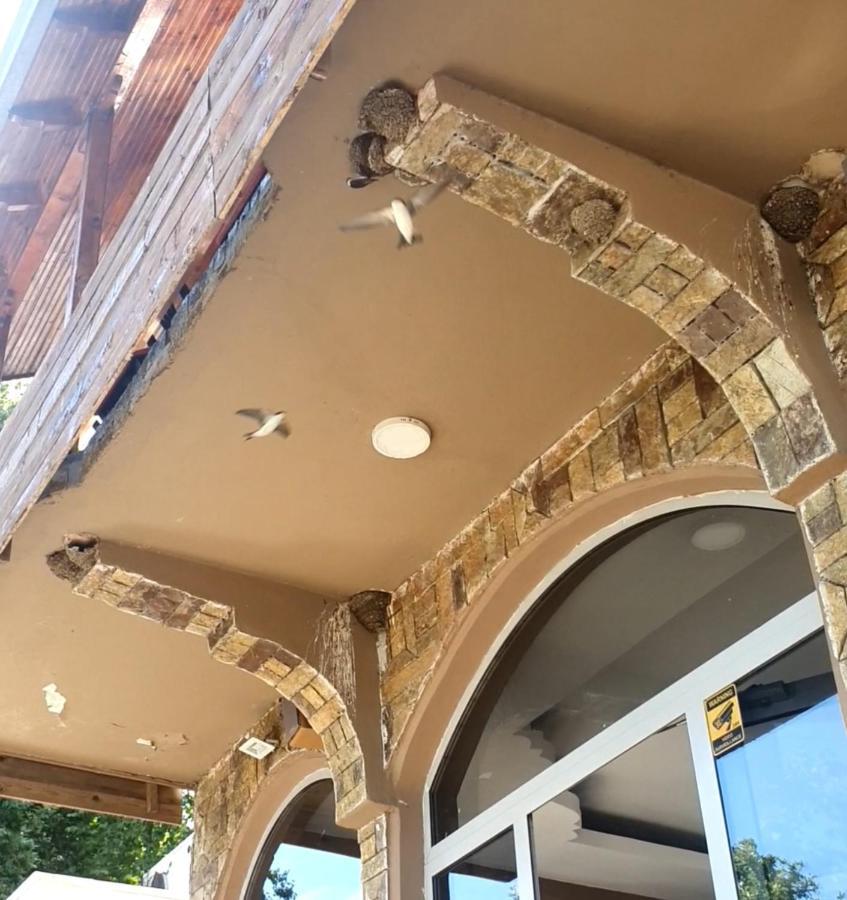 Hotel Piccolino Shkoder Bagian luar foto